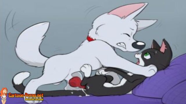 Bolt Dog Sex 3d Porn - Bolt mittens porn 3D - Cartoon Porno
